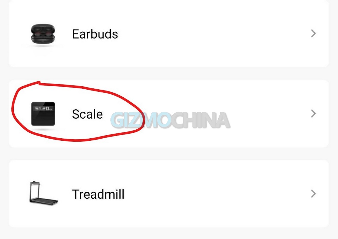 mi scale 2 zepp