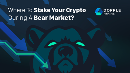 Where To Stake Your Crypto During a Bear Market?