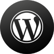 WordPress-Development