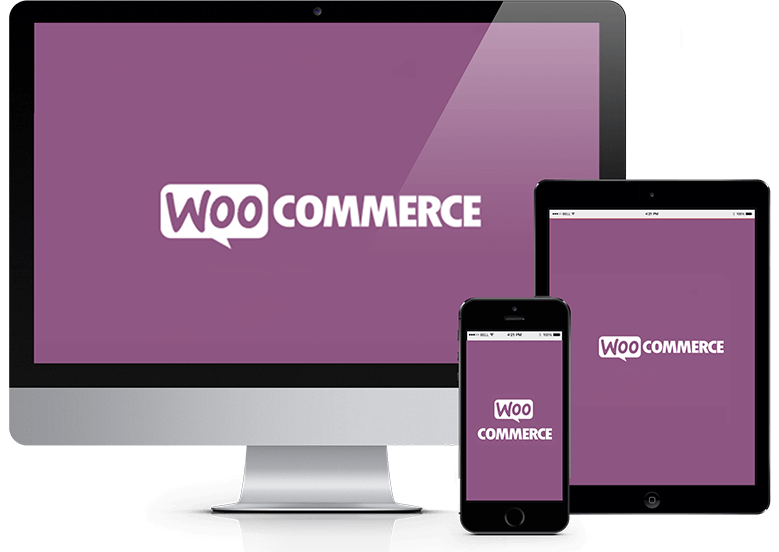 WooCommerce-developer-Custom-Store-Design-Optimization